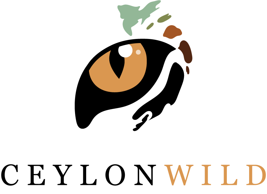 Ceylon Wild Safaris